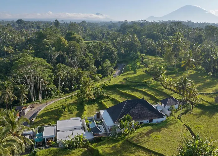 Resort Romantic Cozy Three Bedroom Jungle View In Ubud